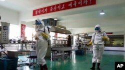 지난달 14일 북한 평양의 한 공장에서 방역 요원들이 바닥을 소독하고 있다.