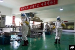 Petugas kesehatan Pabrik Alat Olahraga Pyongyang mendisinfeksi lantai tempat kerja di Pyongyang, Korea Utara pada 14 Juni 2022. (Foto: AP)