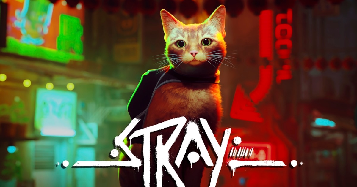 Stray' Cat Video Game Helps Real Cats