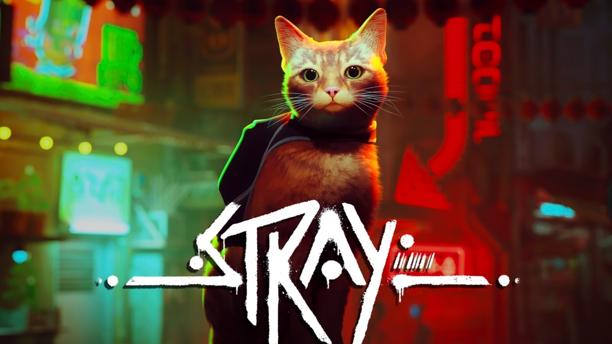 Stray' Cat Video Game Helps Real Cats