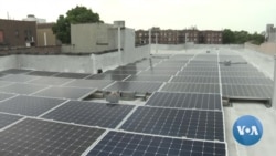 Community Solar Powers New York City’s Green Grid