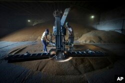 Workers dry the grain at an agricultural farm Kalmychanks in Starobilsk district, on the territory which is under the Government of the Luhansk People's Republic control, eastern Ukraine, July 12, 2022.