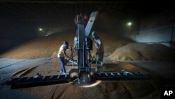 Para pekerja tampak mengeringkan gandum di sebuah pusat pertanian di Kalmychanks, Distrik Starobilsk, Ukraina, pada 12 Juli 2022. (Foto: AP)