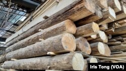 志記鎅木廠第二代傳人希望政府給予兩年寬限期，讓他們處理廠內約1千噸木材。 (美國之音/湯惠芸)