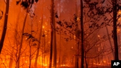 Esta foto proporcionada por el cuerpo de bomberos de la región de Gironda (SDIS 33) muestra un incendio forestal cerca de Landiras, suroeste de Francia, el domingo 17 de julio de 2022.