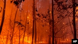 This photo provided by the fire brigade of the Gironde region (SDIS 33) shows a wildfire near Landiras, southwestern France, Sunday July 17, 2022.