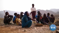 Children Dying in Ethiopia’s Afar Region Amid Drought, Conflict, Residents Say 