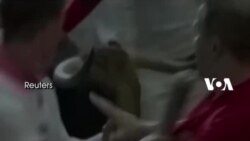 Lomba Lari Banteng di Pamplona: 3 Ditanduk, 6 Masuk RS