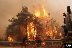 Datça bölgesinde 2022 yılında çıkan orman yangınları etkili oldu