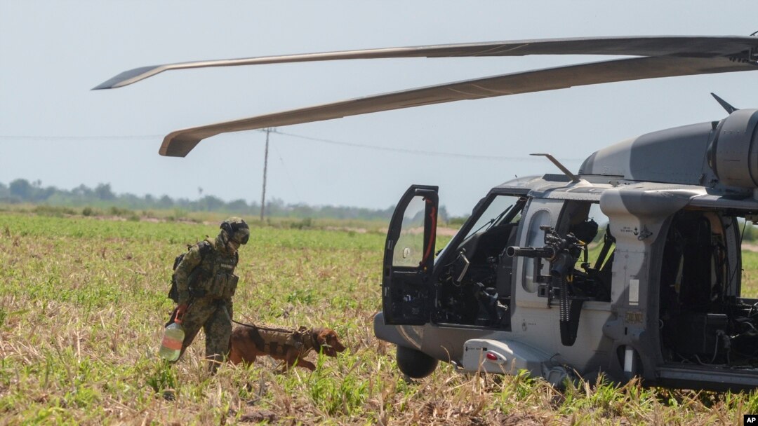 Un infante de la Marina de México y un perro entrenado abordan un helicóptero después de apoyar en el operativo donde fue capturado el narcotraficante Rafael Caro Quintero, cerca de Los Mochis, estado de Sinaloa, México, el viernes 15 de julio de 2022. (Foto AP/Guillermo Juárez)