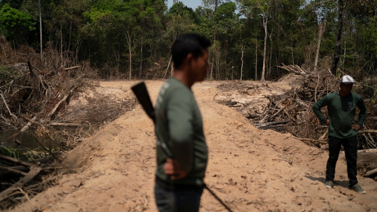 Relatório: autoridades brasileiras ignoram desmatamento