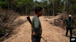 Monhire Menkragnotire, of the Kayapo indigenous community, center, surveys an area where illegal loggers opened a road to enter Menkragnotire indigenous lands. (AP Photo/Leo Correa, File)