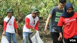 Memunguti sampah plastik di sekitar tanaman mangrove, di sekitar muara sungai Wonorejo, Surabaya (foto: Petrus Riski/VOA)