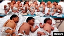 印度北方邦首都勒克瑙一家醫院的新生兒。（2011年10月31日）