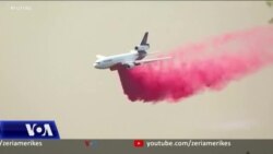 Zjarret në Kaliforni djegin mijëra hektarë pyje 