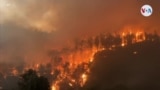 Al menos dos muertos en nuevo incendio forestal en California 