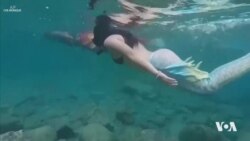 Cil Û Pêdiviyên Avjeniya 'Periyên Deryayî' Balê Dikişîne