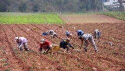 Venezuela: Irán tierras de cultivo