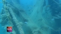 In Senegal, Underwater Museum Draws Attention to Environmental Woes 