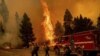 El incendio cerca de Jerseydale, condado de Mariposa, California, el 23 de julio de 2022. (Foto AP/Noah Berger)