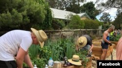 Aktivitas di Kebun Komunitas Gum Tree di Littlehampton, SA, Australia, 28 Januari 2018. (Facebook/gumtreecommunitygarden)
