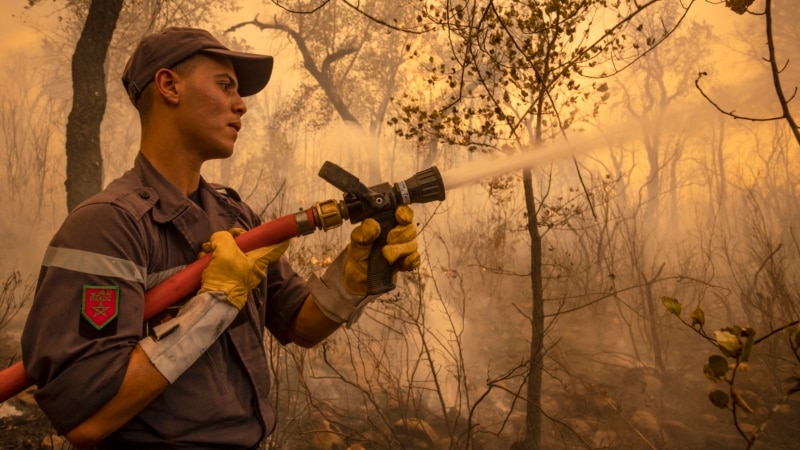 Feux de forêt au Maroc : un villageois mis en examen pour incendie involontaire