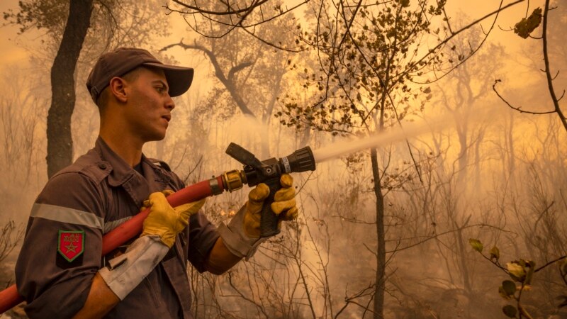 Trois pompiers marocains meurent dans un feu de forêt présumé criminel