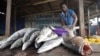 Cameroon Fishers Urge Stop to Gulf of Guinea Poachers to Reverse EU Ban 