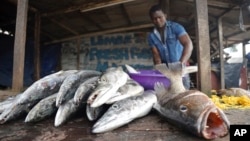 FILE - A fishmonger displays barracuda for sale at a fresh fish market in Limbe, Cameroon, April 10, 2022. 