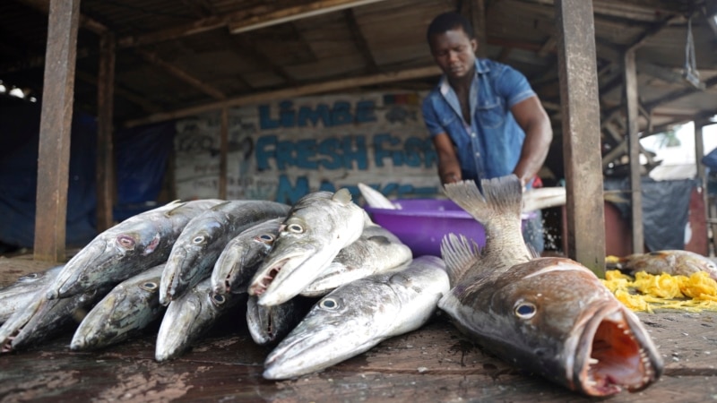 Pêche illicite: le Cameroun reçoit un 