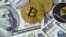 Kriptovalyutaning qulashi – investor va mutaxassislar nima deydi?