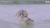 Dogs Catch Waves in World Dog Surfing Championship 