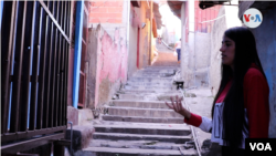 En Fotos: Un recorrido a Los Alpes de El Cementerio de la mano de una activista venezolana