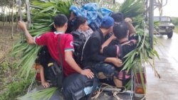အထောက်အထားမဲ့ မြန်မာ ၂ဝဝ ကျော်နဲ့ ပွဲစားတချို့ ထိုင်းနိုင်ငံမှာ ဖမ်းဆီးခံရ 