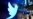 Judge Sets October Trial For Musk-Twitter Takeover Dispute