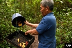 This photo taken on July 6, 2022 shows local resident Moeurn Sarin placing fruits for gibbons in the forest at Angkor Park in Siem Reap province. - Decades after poachers hunted nearly all wildlife that habited the forests near Cambodia's world heritage listed Angkor Wat temple, a joint conservation program is now bringing them back. (Photo by TANG CHHIN Sothy / AFP)