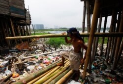 Ujang Ahmad membawa tiang bambu untuk memperbaiki rumahnya yang rusak di kawasan kumuh dekat waduk Pluit, Jakarta, 22 Februari 2012. Presiden Joko Widodo meminta kemiskinan dientaskan pada 2024.(Foto: REUTERS/Beawiharta)