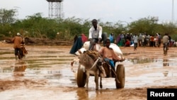 Newly arrived Somali refugees ride a donkey along the street at the Ifo Extension refugee camp in Dadaab, near the Kenya-Somalia border, October 19, 2011.