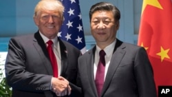 지난 8일 독일 함부크르에서 열린 주요 20개국(G20) 정상회의에서 참석한 도널드 트럼프 미국 대통령(왼쪽)과 시진핑 중국 국가주석이 악수하고 있다.