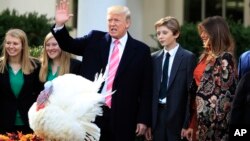 President Donald Trump with first lady Melania Trump, right, and their son Barron Trump, waves after pardoning the National Thanksgiving Turkey Drumstick during a ceremony in the Rose Garden of the White House in Washington, Tuesday, Nov. 21, 2017.