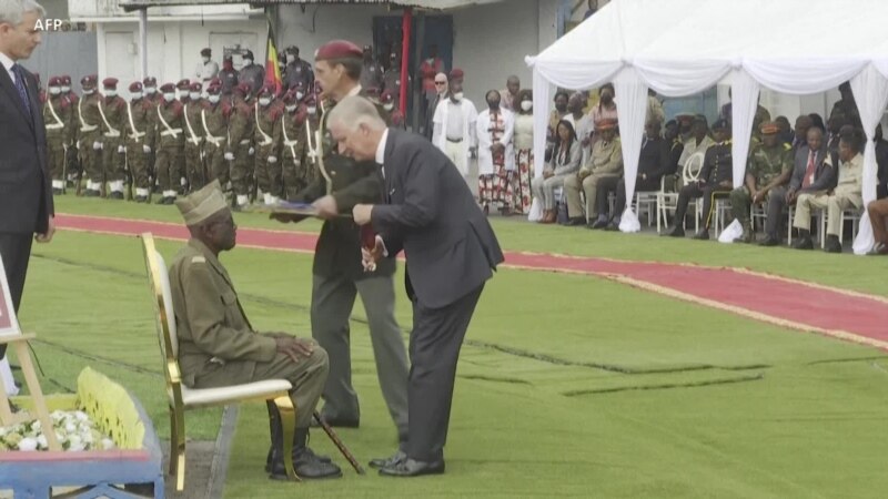 Le roi des Belges décore un ancien combattant de l'ex-Congo belge