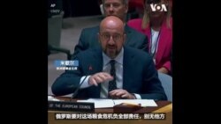 欧洲理事会主席指责俄罗斯造成粮食危机 