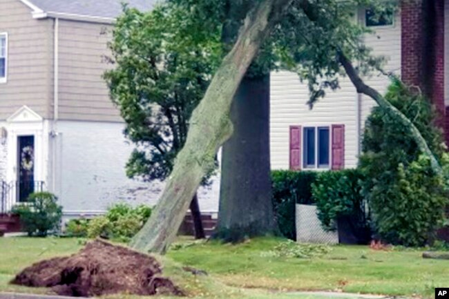 This Aug. 4, 2020, photo provided by James Burke shows damage to a Garden City, N.Y., home caused by an uprooted tree during Tropical Storm Isias. (James Burke via AP)