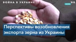 Черноморский гамбит: украинская пшеница, Россия, Турция и НАТО 