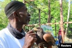 Stotts holds a Harris Hawk in his hand as he oversees construction of an aviary in Laurel, Maryland,, May 10, 2022. (REUTERS/Kevin Fogarty)