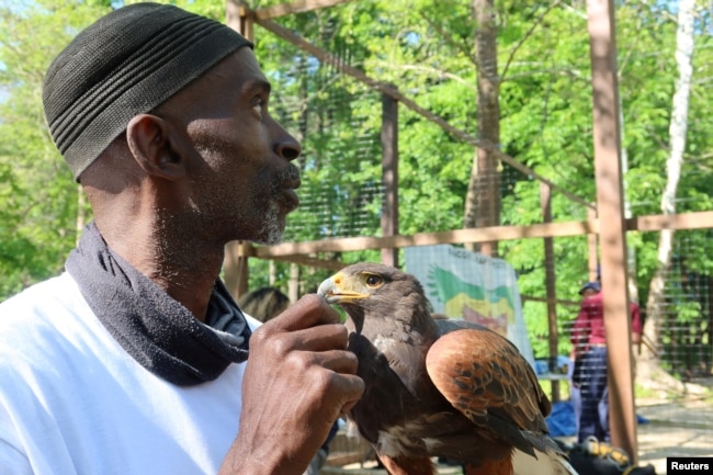 Stotts holds a Harris Hawk in his hand as he oversees construction of an aviary in Laurel, Maryland,, May 10, 2022. (REUTERS/Kevin Fogarty)