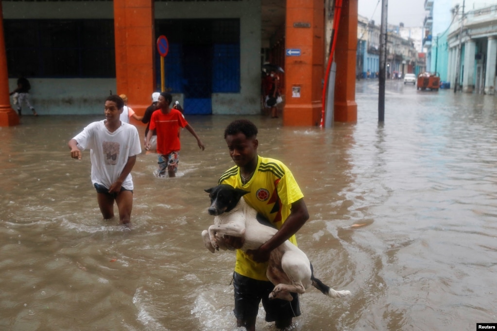In Havanna trägt ein Mann seinen Hund, während er bei starkem Regen eine Straße überquert. | Bildquelle: VOA | Bilder sind in der Regel urheberrechtlich geschützt