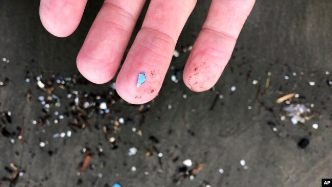 FILE - This Jan. 19, 2020 photo shows microplastic debris that washed up at Depoe Bay, Ore.