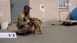 Policijski pas Bayraktar spašava Ukrajince