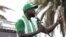L'opposant Ousmane Sonko, maire de Ziguinchor, prend la parole lors d'un rassemblement de l'opposition sénégalaise à la place de l'Obélisque à Dakar, le 8 juin 2022.